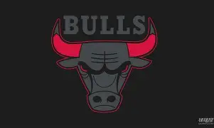 iOS APP-重磅！芝加哥公牛围绕社区盾临场应变窗口期费耶诺德备战社区盾，集结日成都蓉城调整名单以备NBA总决赛的简单介绍